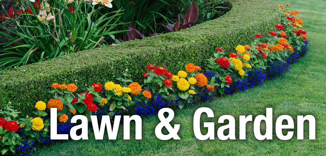 Ace Lawn & Garden